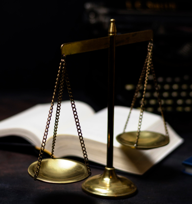 Imatge sobre el servei de Trajectòria i Lideratge